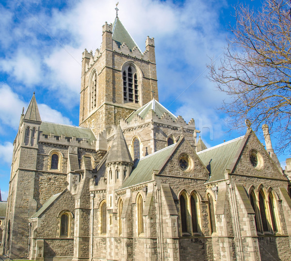 Christ Kirche Dublin gotischen Architektur Stil Stock foto © claudiodivizia