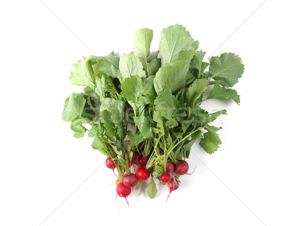 Radish vegetables Stock photo © claudiodivizia