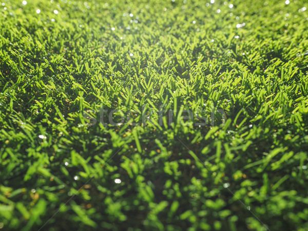 Erba artificiale verde prato utile natura sfondo Foto d'archivio © claudiodivizia