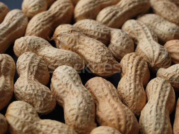 Peanut Stock photo © claudiodivizia