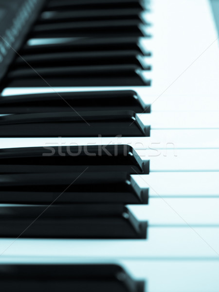 Music keyboard Stock photo © claudiodivizia