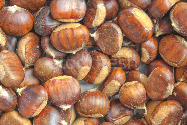 Muchos útil alimentos pecho nueces marrón Foto stock © claudiodivizia