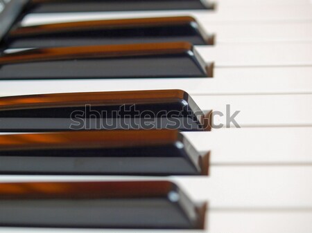 Music keyboard Stock photo © claudiodivizia