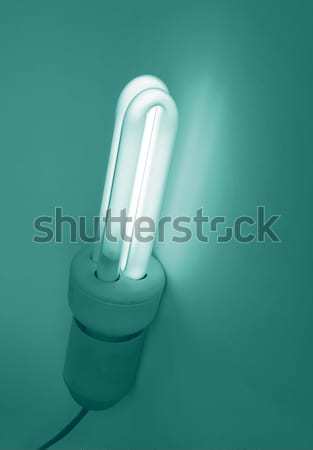 Light bulb Stock photo © claudiodivizia