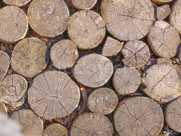 Wood background Stock photo © claudiodivizia