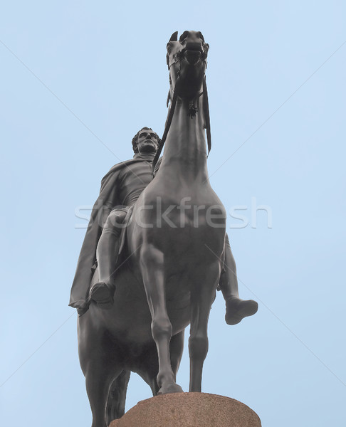 Duke of Wellington, London Stock photo © claudiodivizia