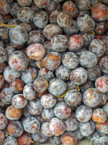 Prunes picture Stock photo © claudiodivizia