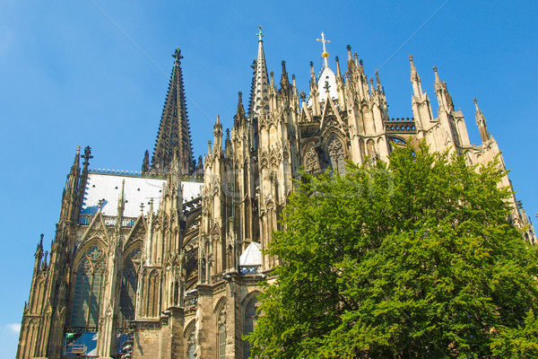 Koeln Dom Stock photo © claudiodivizia