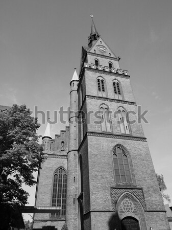 Cardross old parish church Stock photo © claudiodivizia