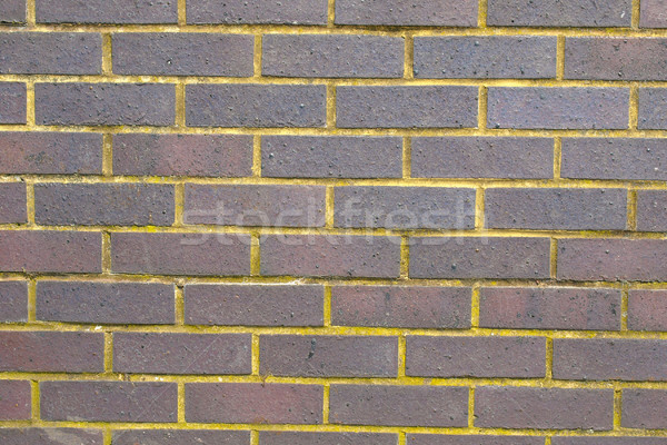 Red bricks Stock photo © claudiodivizia