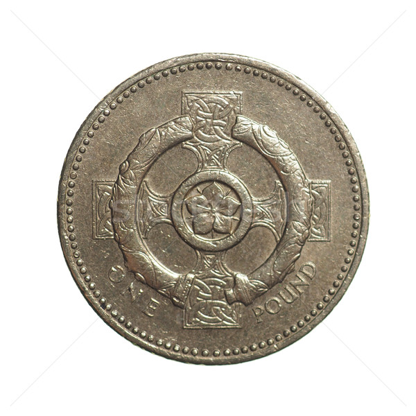 One Pound coin Stock photo © claudiodivizia
