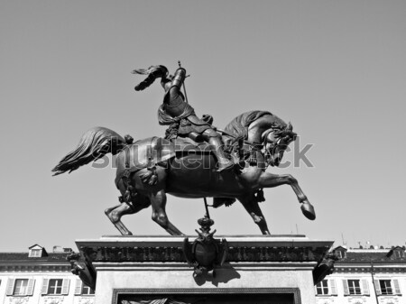 Bronze Horse Stock photo © claudiodivizia