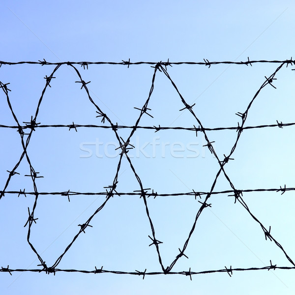 Barbed wire Stock photo © claudiodivizia