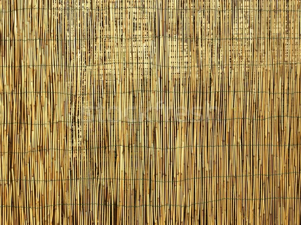 Stock photo: Bamboo background