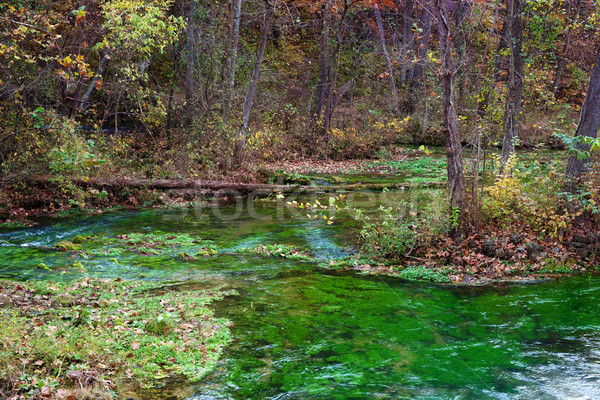 Steegje voorjaar Missouri natuur rivier Stockfoto © clearviewstock