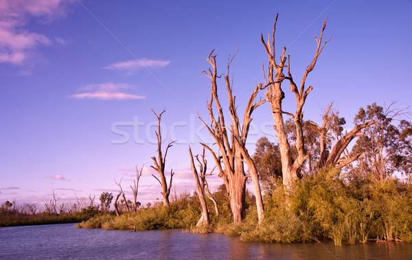 Восход реке Южная Австралия облака закат красивой Сток-фото © clearviewstock