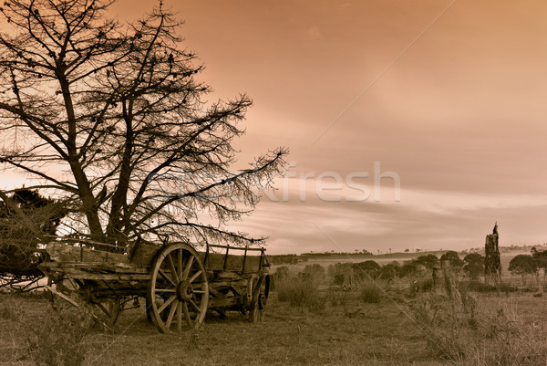 Vecchio cart immagine farm albero morto foto Foto d'archivio © clearviewstock