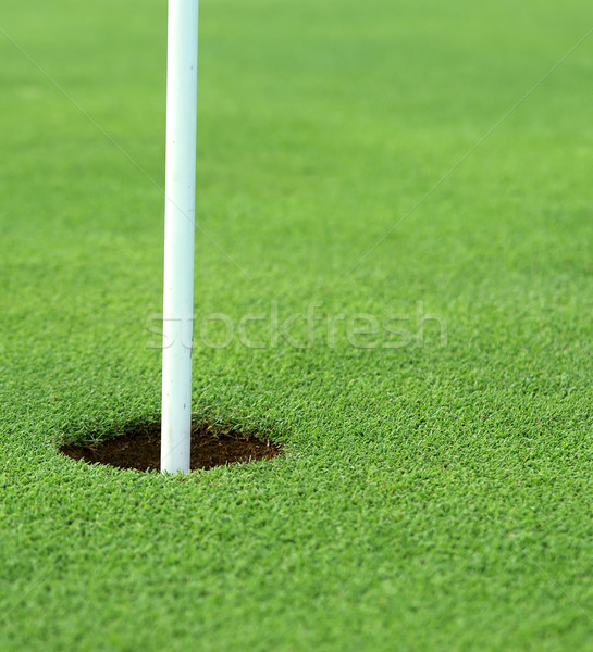 Golf gaură iarbă fotografie joc imagine Imagine de stoc © clearviewstock