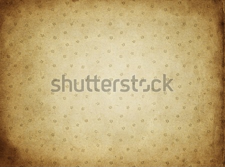 Pergamino papel imagen flor libro Foto stock © clearviewstock