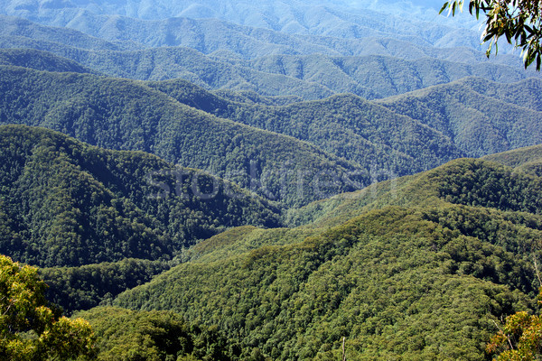 rows of mountains Stock photo © clearviewstock