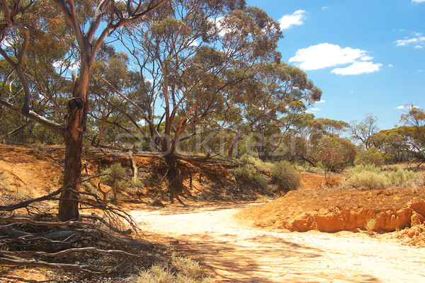 dry creek Stock photo © clearviewstock