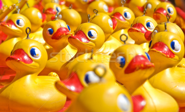 rubber ducky you are the one Stock photo © clearviewstock