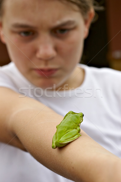 green tree frog on girls arm Stock photo © clearviewstock