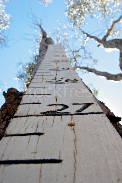 Wzrost znacznik powodzi Błękitne niebo drewna Zdjęcia stock © clearviewstock