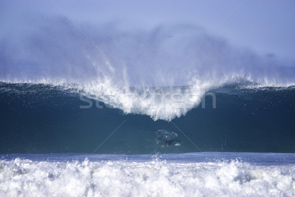 big waves at bondi beach Stock photo © clearviewstock