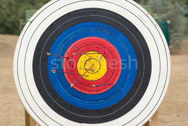 Bogenschießen Ziel Bild voll Pfeile Erfolg Stock foto © clearviewstock