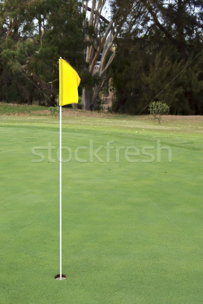 golf hole with yellow flag Stock photo © clearviewstock