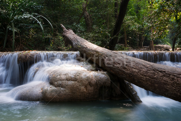 beautiful waterfall cascades Stock photo © clearviewstock