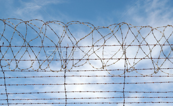 barbed wire and blue sky Stock photo © clearviewstock