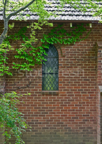 Vigne couvert bâtiment de l'église belle chapelle tous [[stock_photo]] © clearviewstock