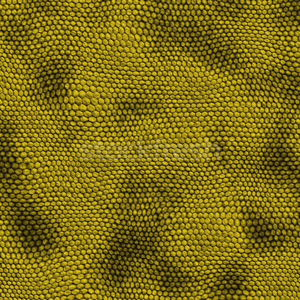 yellow snake skin Stock photo © clearviewstock