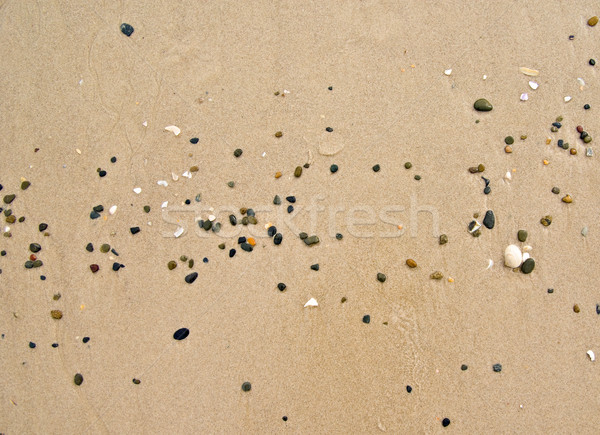 Strand Kieselsteine Muscheln Strandsand Stock foto © clearviewstock