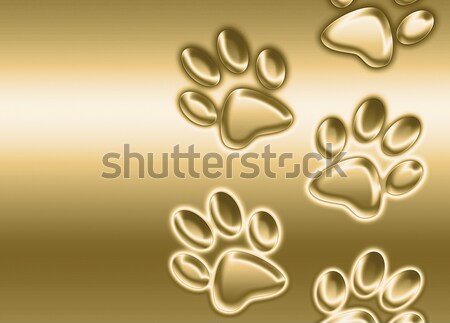 Abstrakten paw Bild metallic up Design Stock foto © clearviewstock