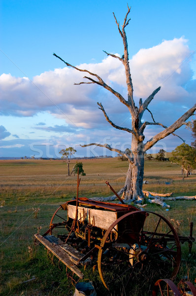 Vecchio farm albero morto panorama macchina foto Foto d'archivio © clearviewstock