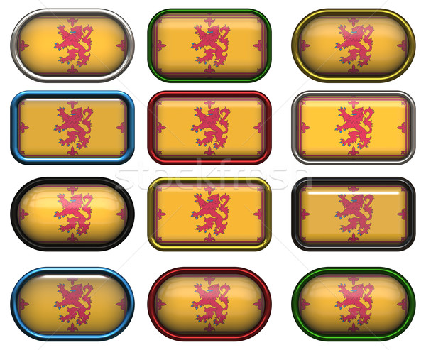12 buttons of the Flag of Scotland Stock photo © clearviewstock