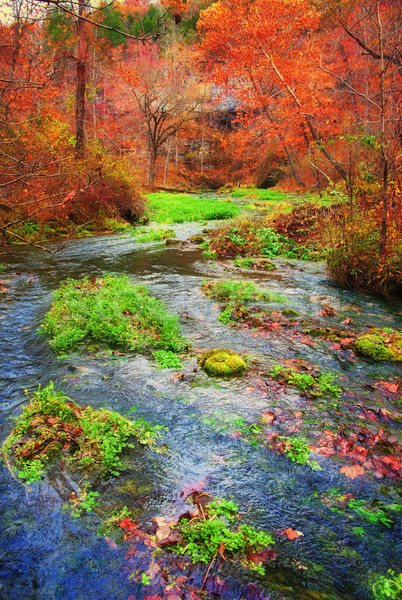 Najaar voorjaar Missouri vallen stream bomen Stockfoto © clearviewstock