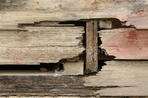 Alten Holz Wand fallen abgesondert schmutzig Stock foto © clearviewstock