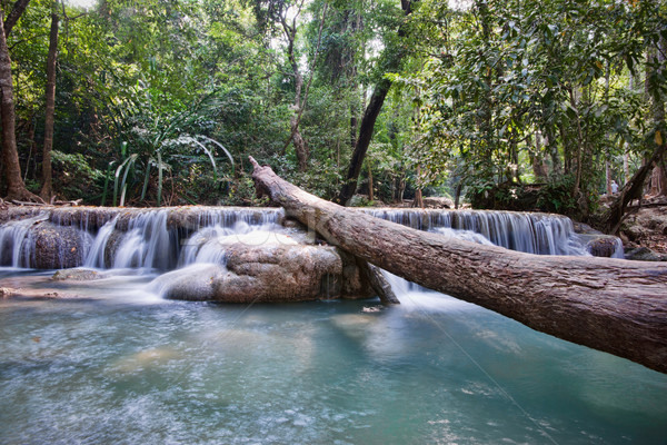 beautiful waterfall cascades Stock photo © clearviewstock