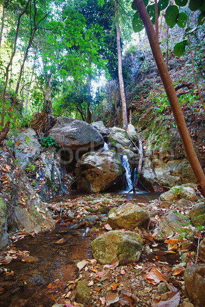 Wenig Wasserfall Stream Kaskade nördlich Thailand Stock foto © clearviewstock