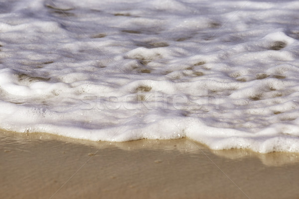 waves at bondi beach Stock photo © clearviewstock