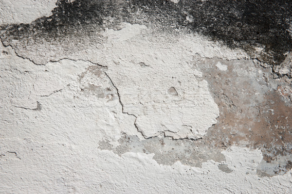Grunge duvar doku eski beton grunge texture Stok fotoğraf © clearviewstock