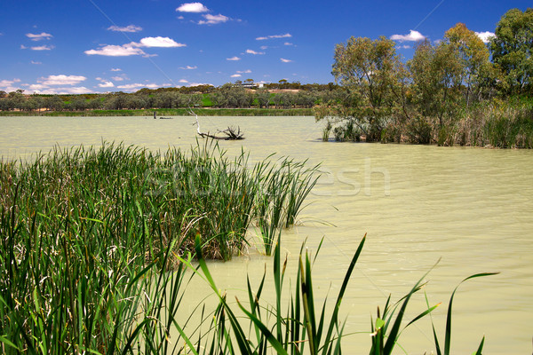 wetlands Stock photo © clearviewstock