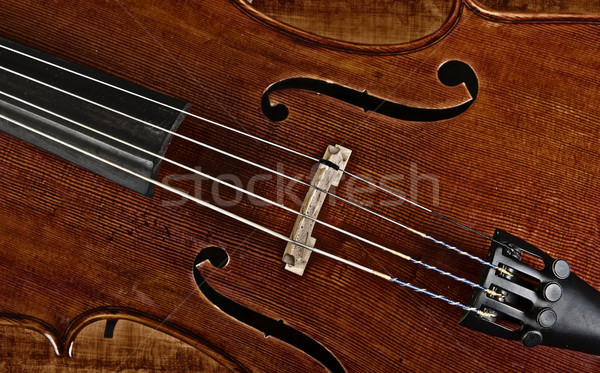 Cello Violine groß Bild Kunst Nacht Stock foto © clearviewstock