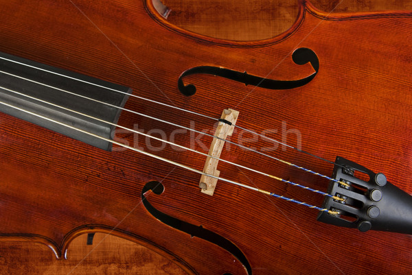 Cello Violine groß Bild Kunst Nacht Stock foto © clearviewstock