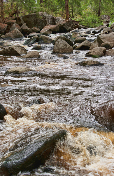 rushing water in river  Stock photo © clearviewstock