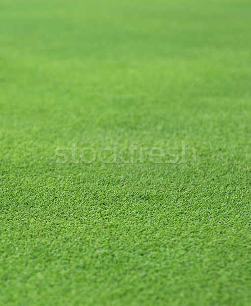 Herbe verte gazon golf trou vert herbe [[stock_photo]] © clearviewstock